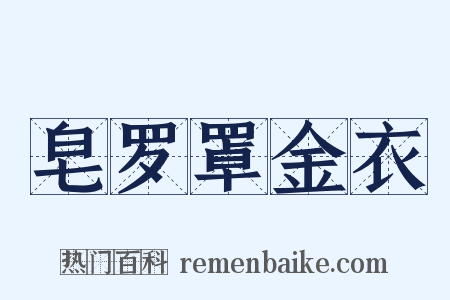 皂罗罩金衣是什么意思的图片